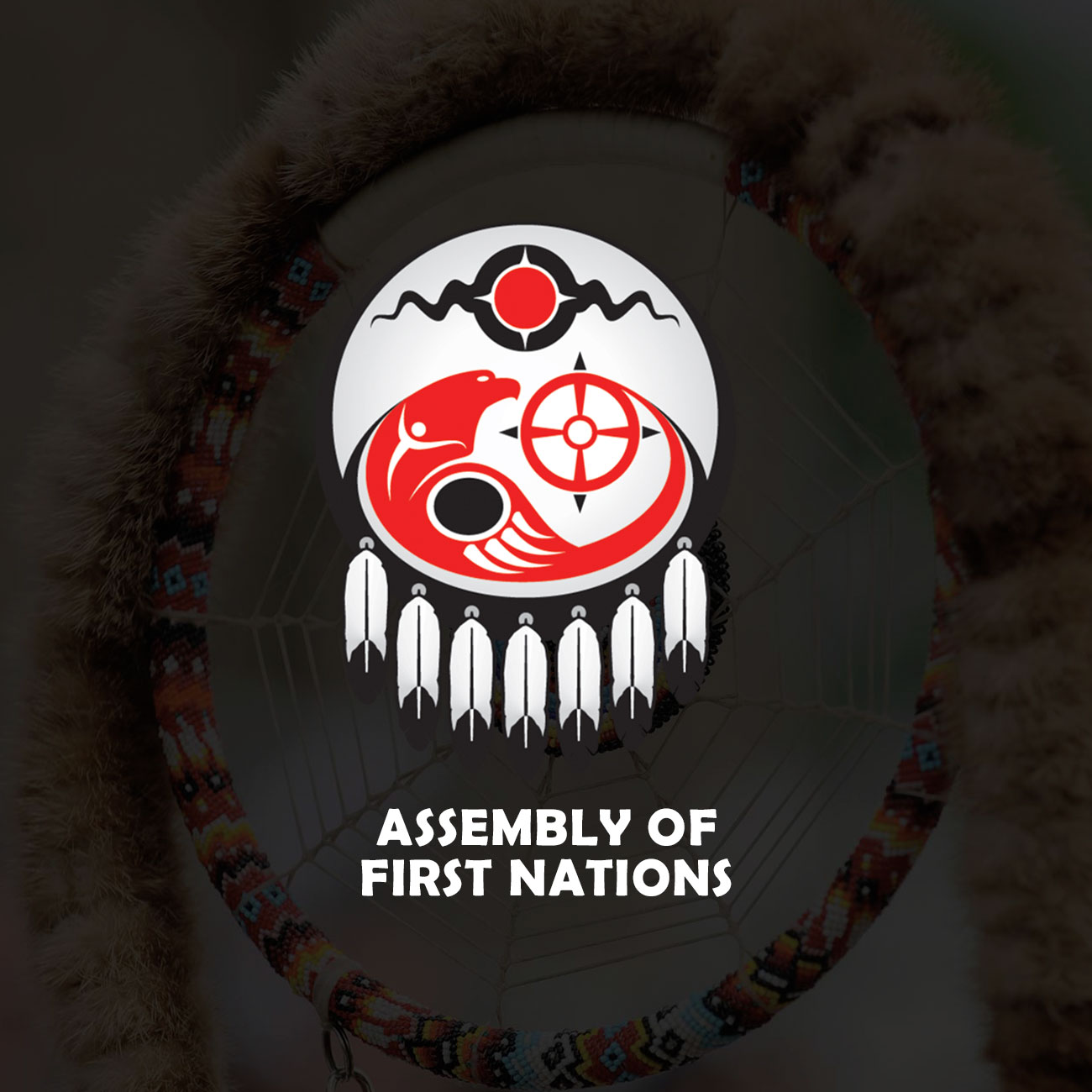 Assembly of First Nations