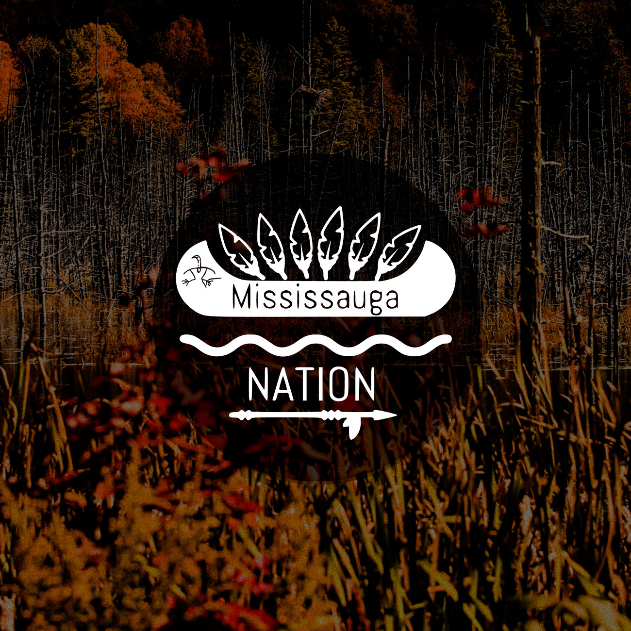 Mississauga Nation
